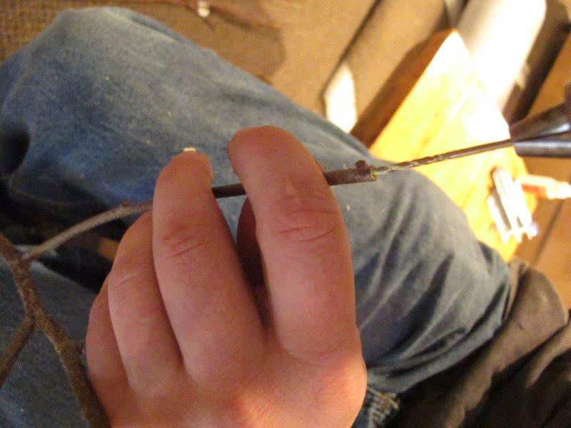 Camping with Bears exhibit