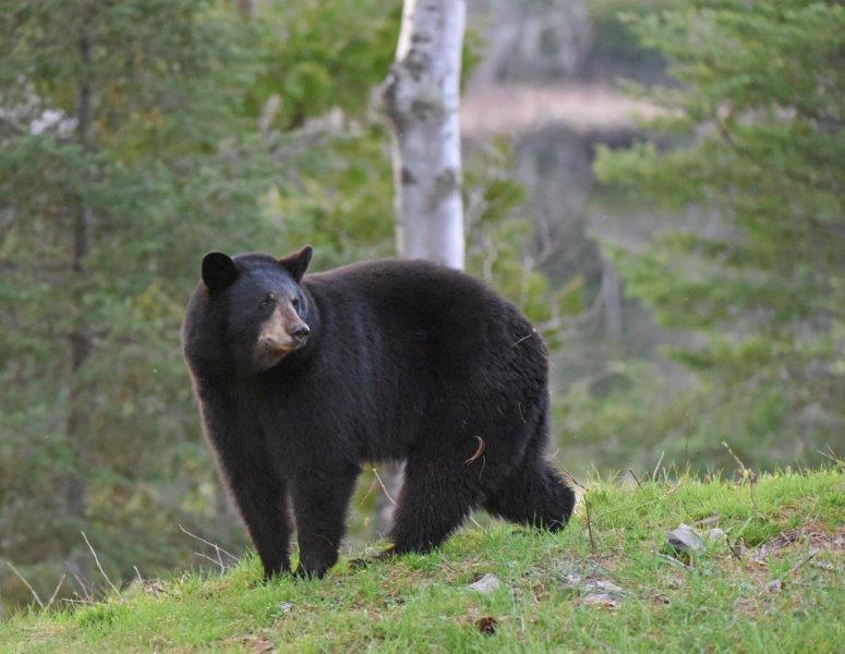 Young visitor to the WRI