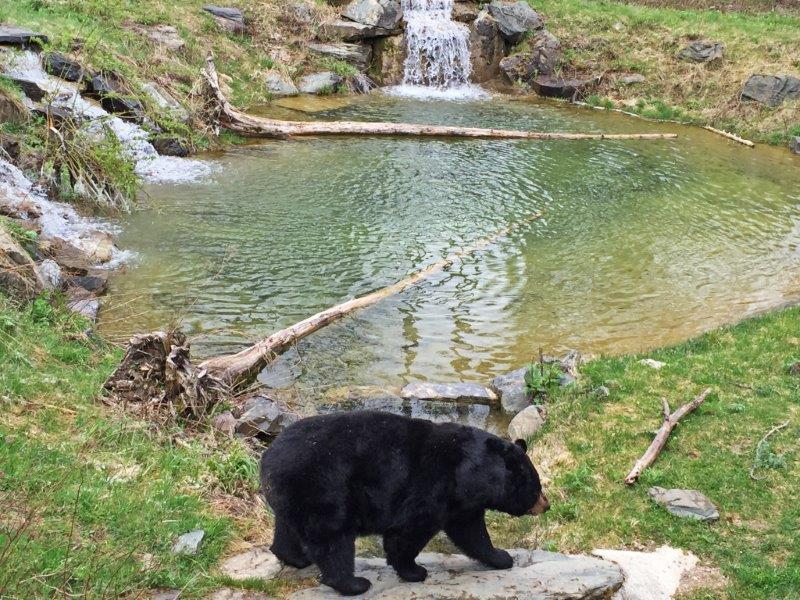 Ted at the pond