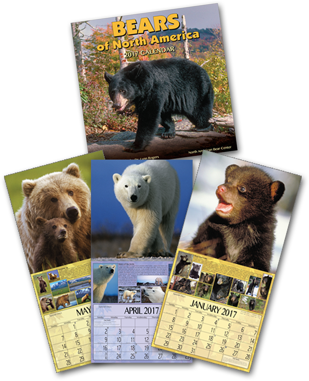 2017 Calendars now available