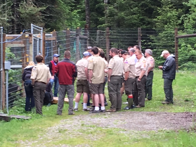 Boy scouts enjoying Ted behind-the-scenes