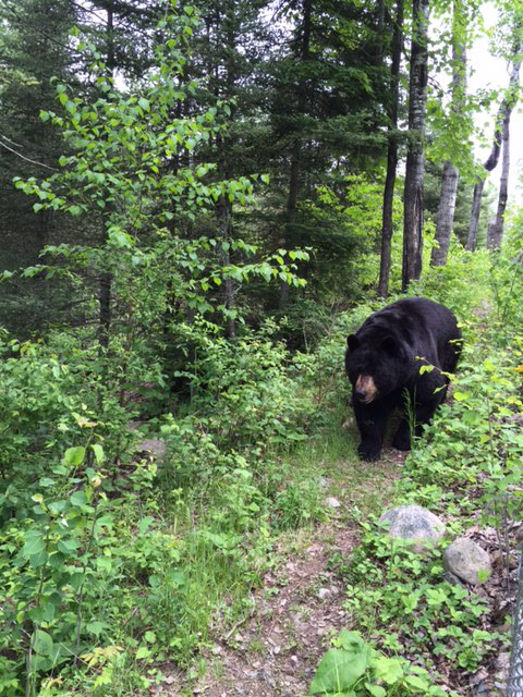 Ted returns from his big trip