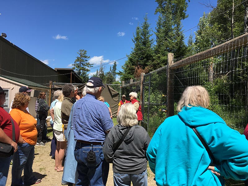 Behind-the-Scenes at NABC