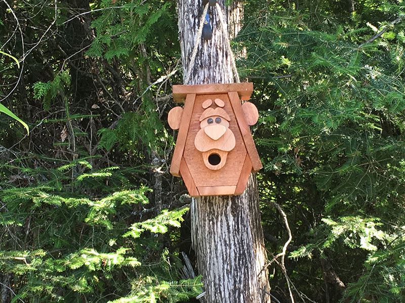 Bird house