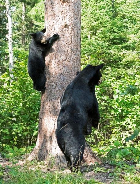 Jewel getting a better look