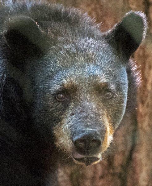 20160810 Shadow 20160807