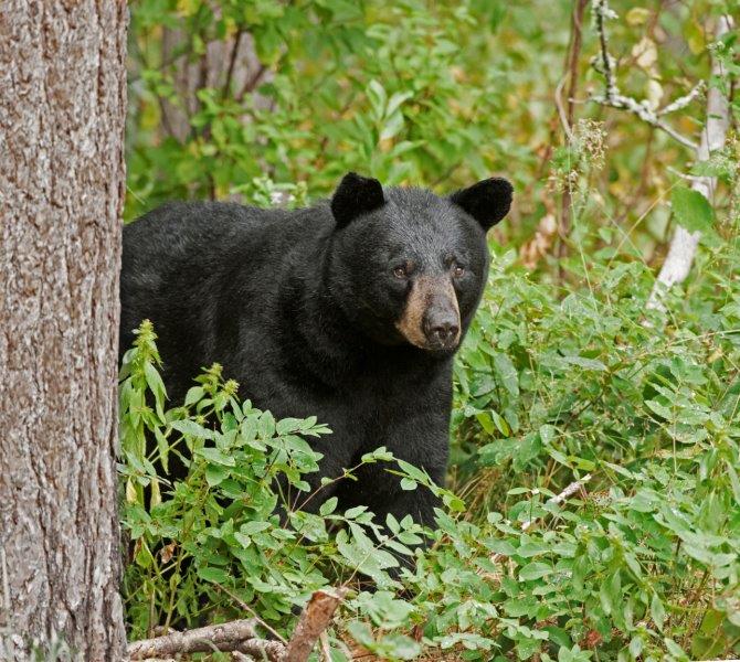 Colleen on August 3, 2015
