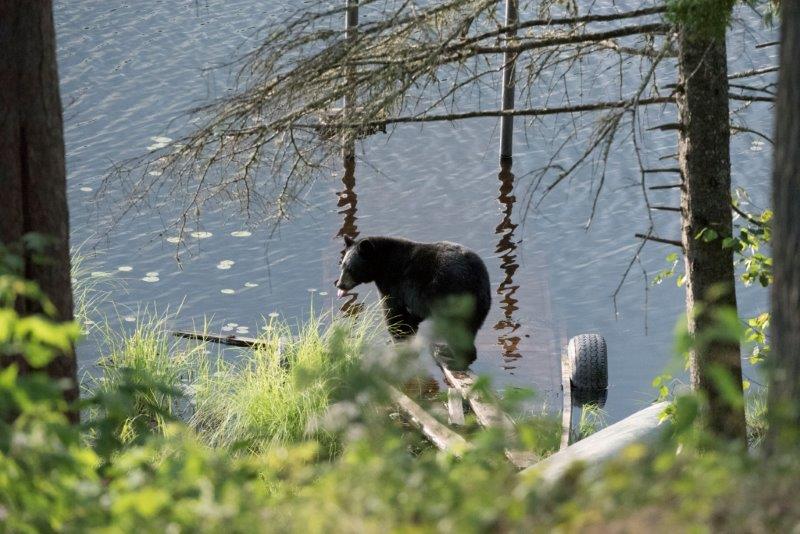 Mother at Woods lake