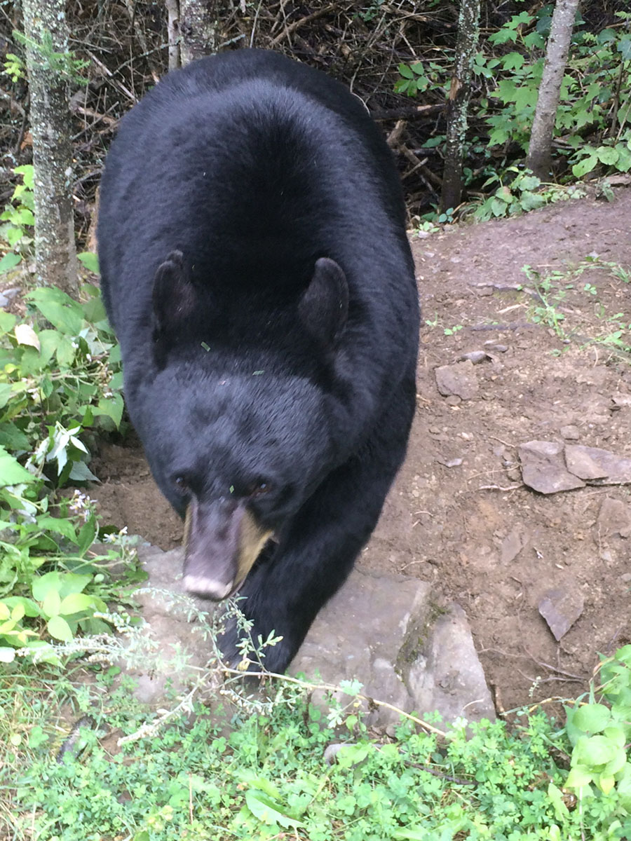 Holly with dirt on her nose