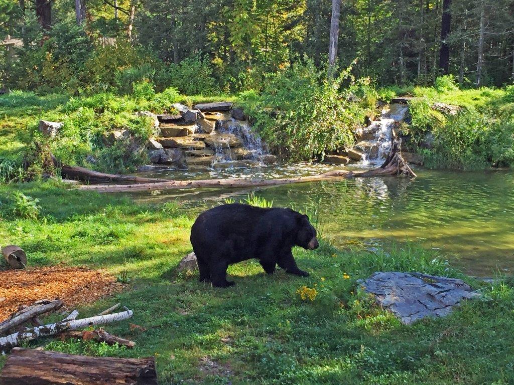 Ted in his beautiful home