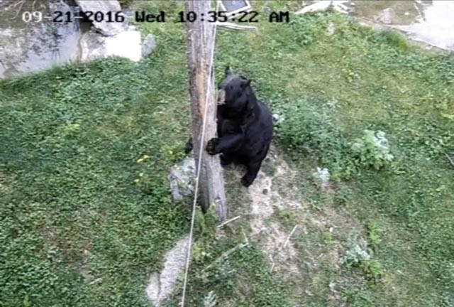 Ted in his beautiful home