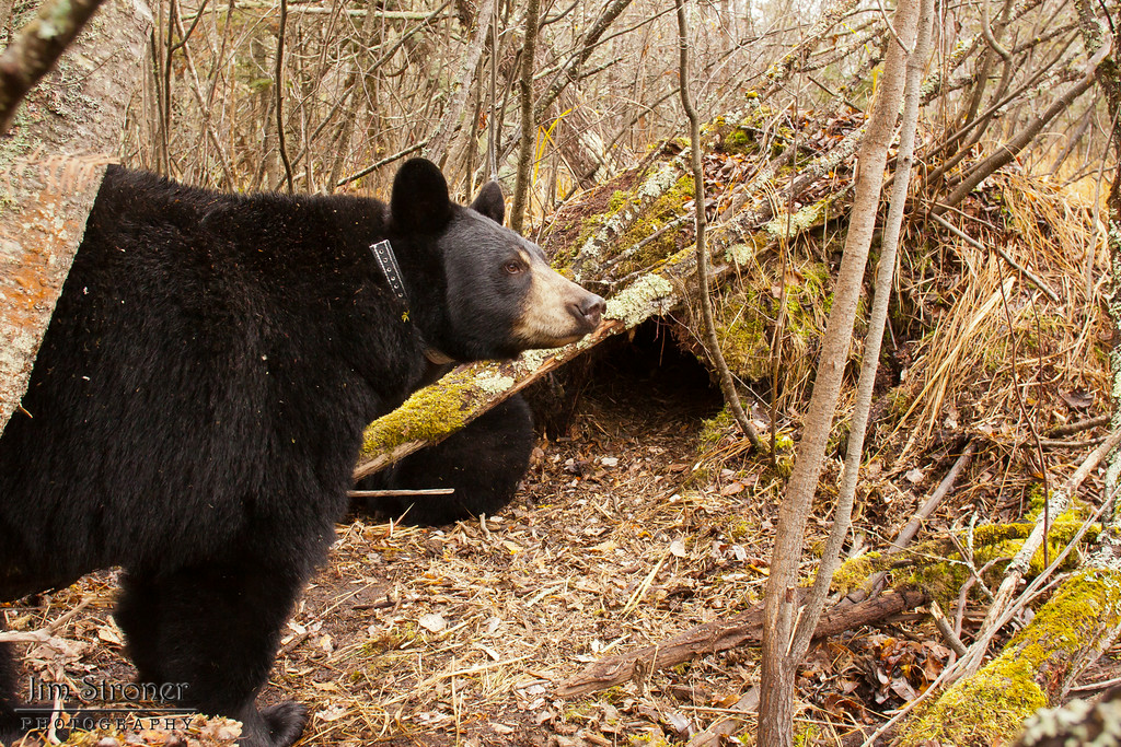 Lily and Hope on October 25, 2010