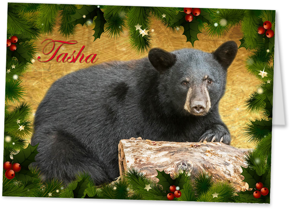 2016 holiday card with Tasha