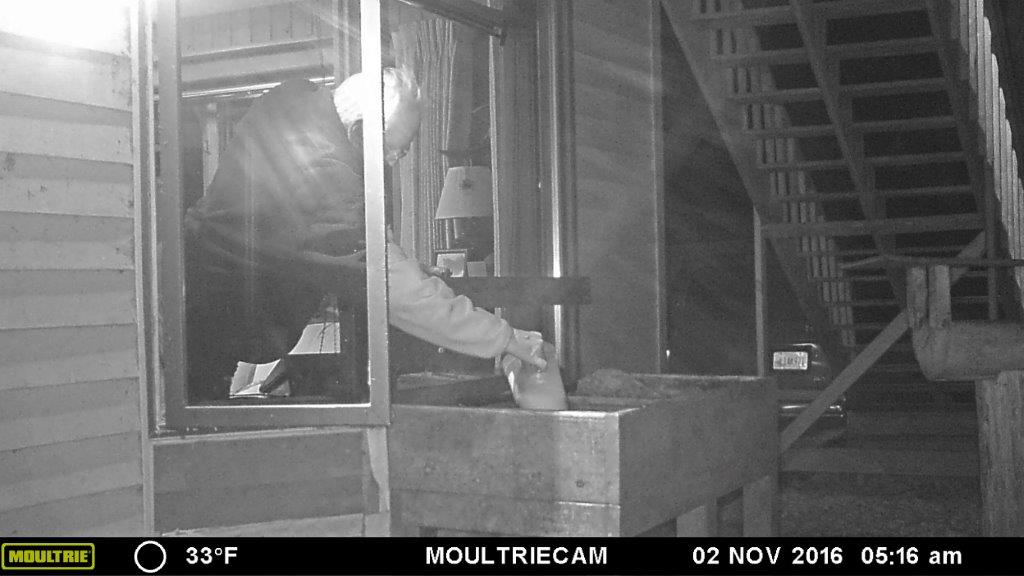 Lynn checking formula