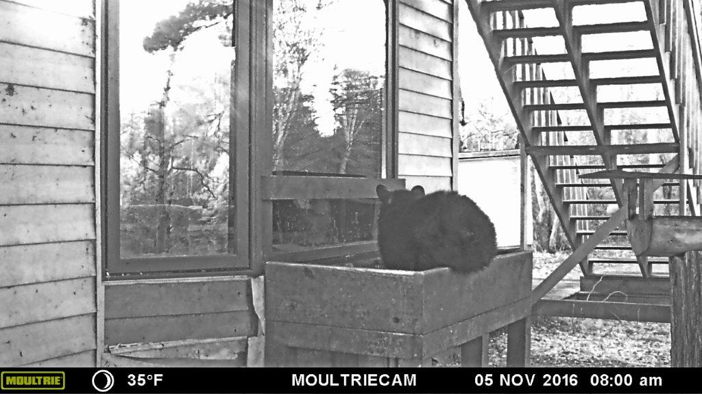 Quill at 8:00am Nov 5