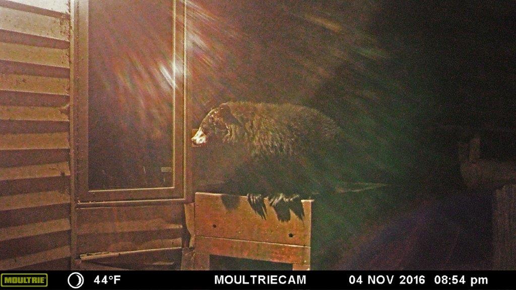 Quill at 8:54pm Nov 4, 2016