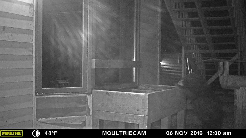 Quill 11:00 pm 11/5/16