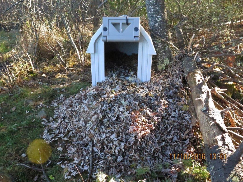 Quill house with leaves