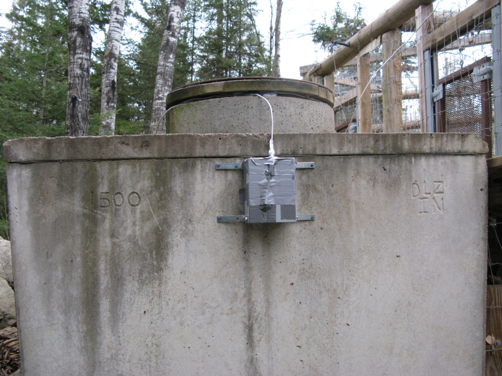 NABC Holly Lucky cam