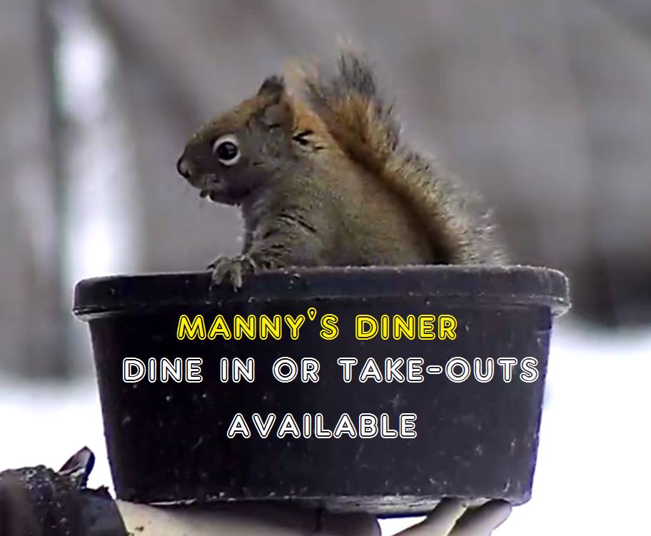 Manny and squirrel