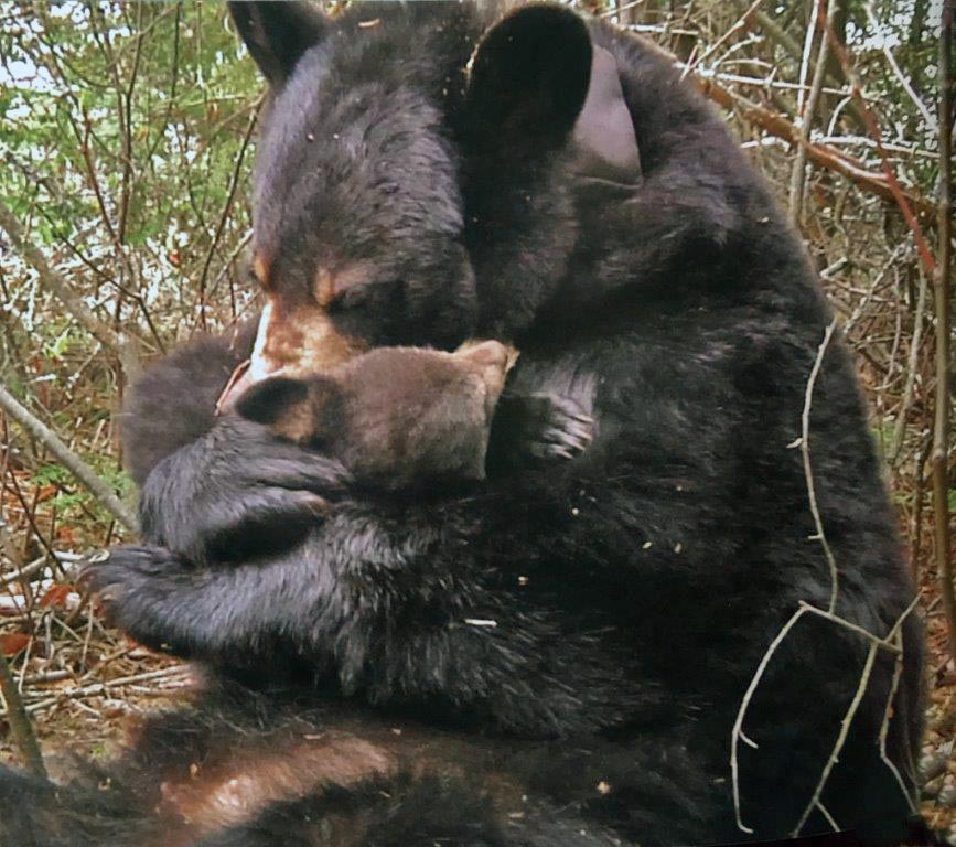 Lily and Hope reunion on May 26, 2010
