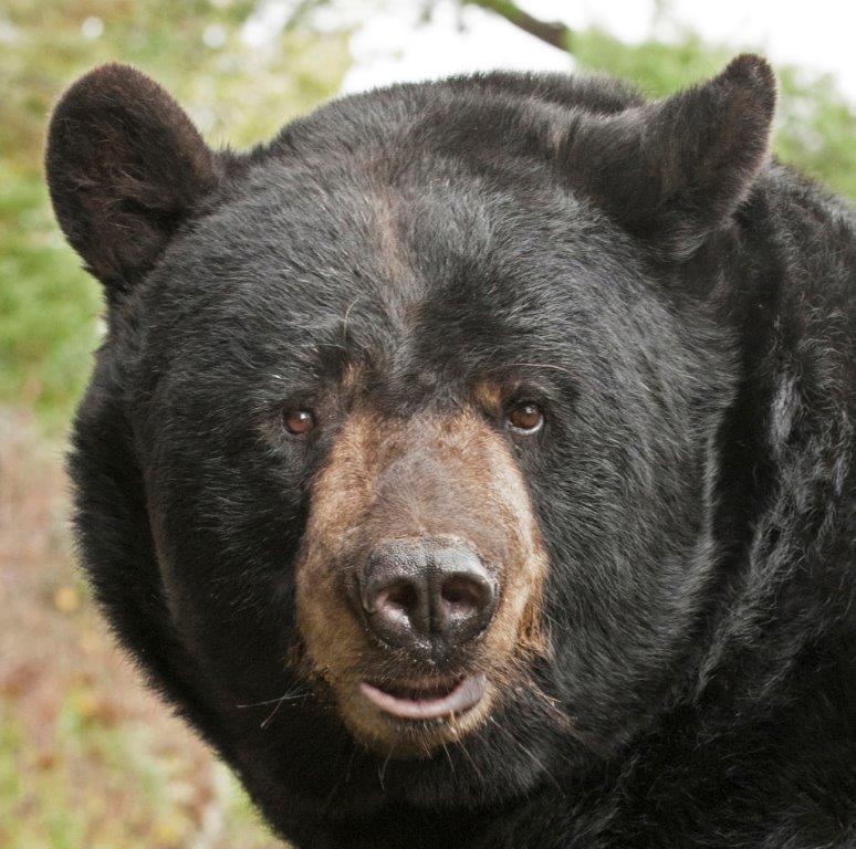 Ted on April 4, 2014