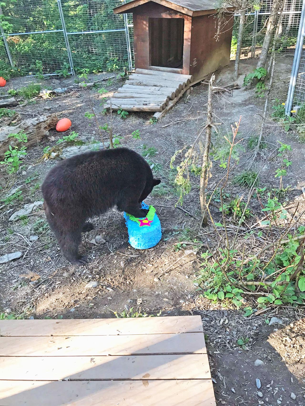 Tasha with her flip-flop pi&ntilde;ata