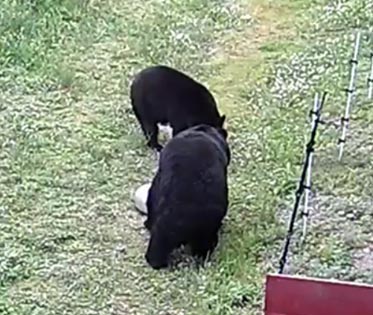 20170624 Ted and Tasha