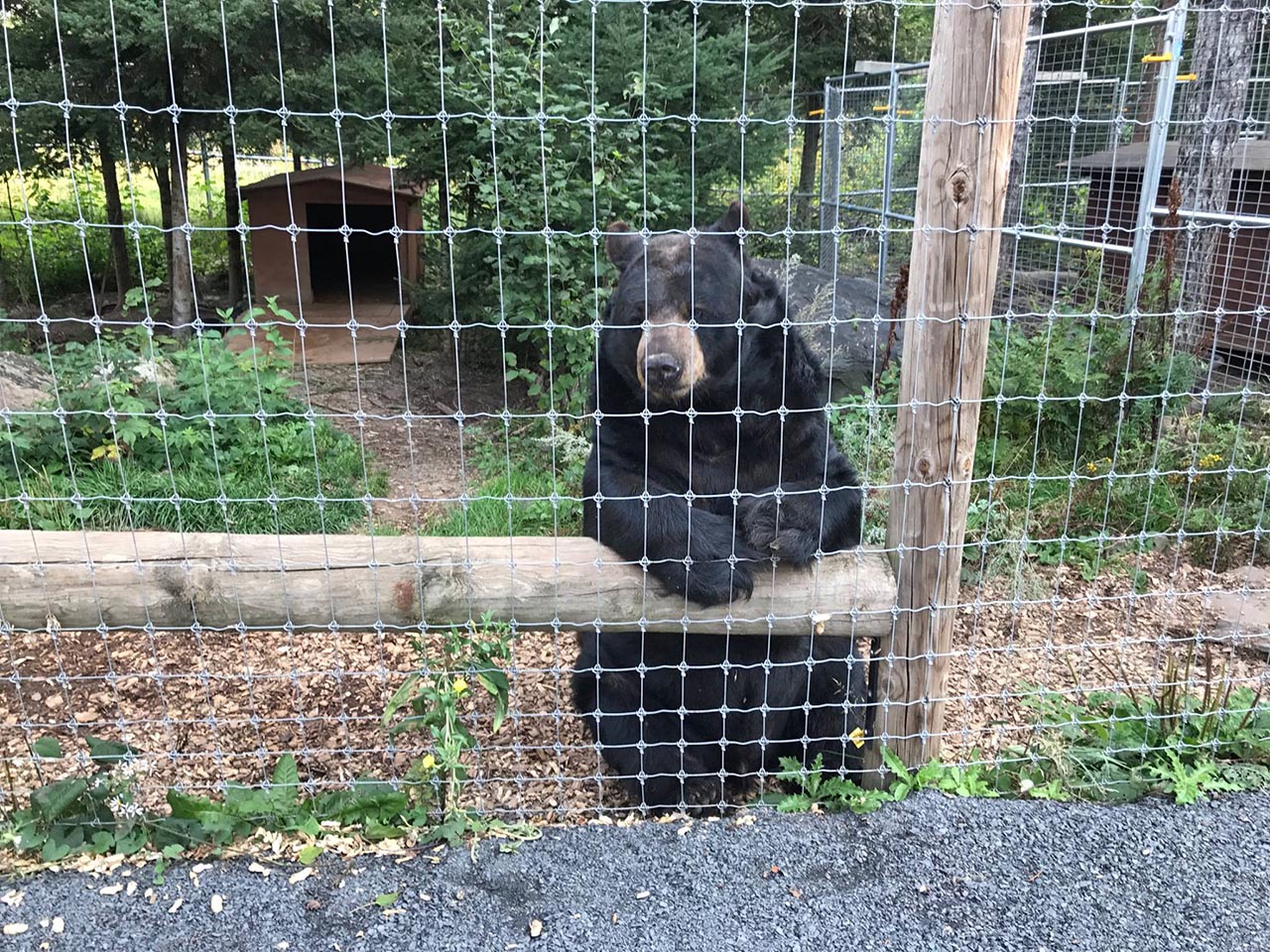 Ted greets staff