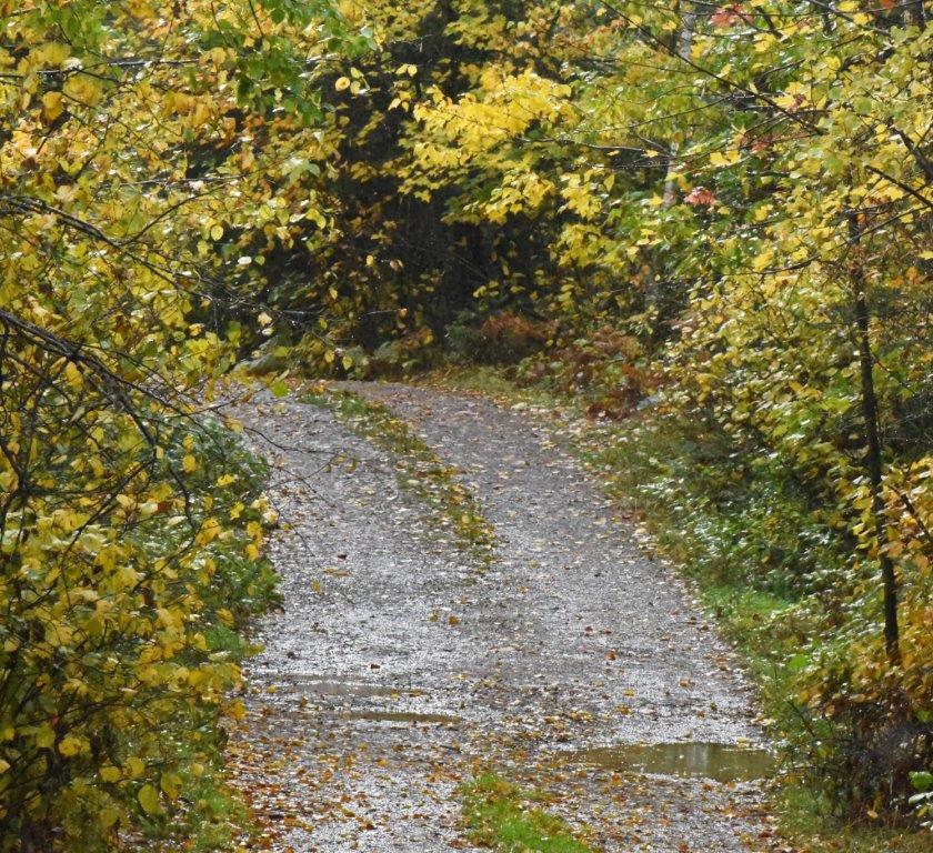 Autumn
