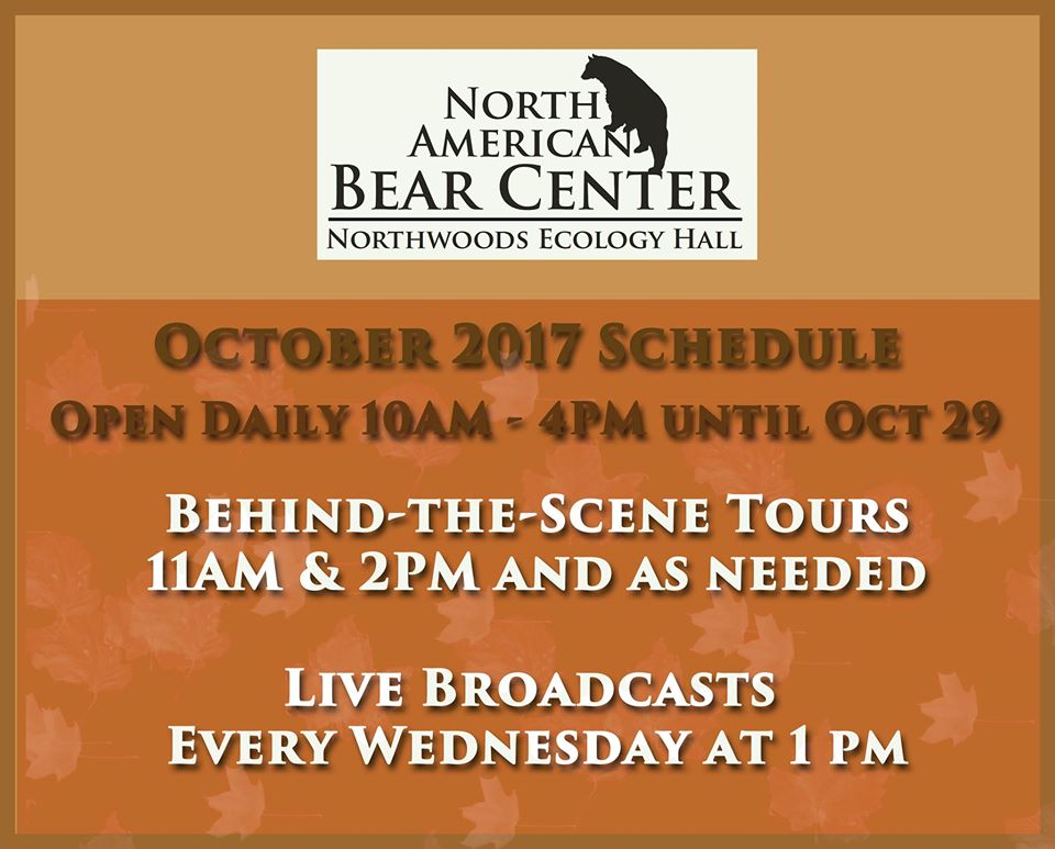 Live Broadcast