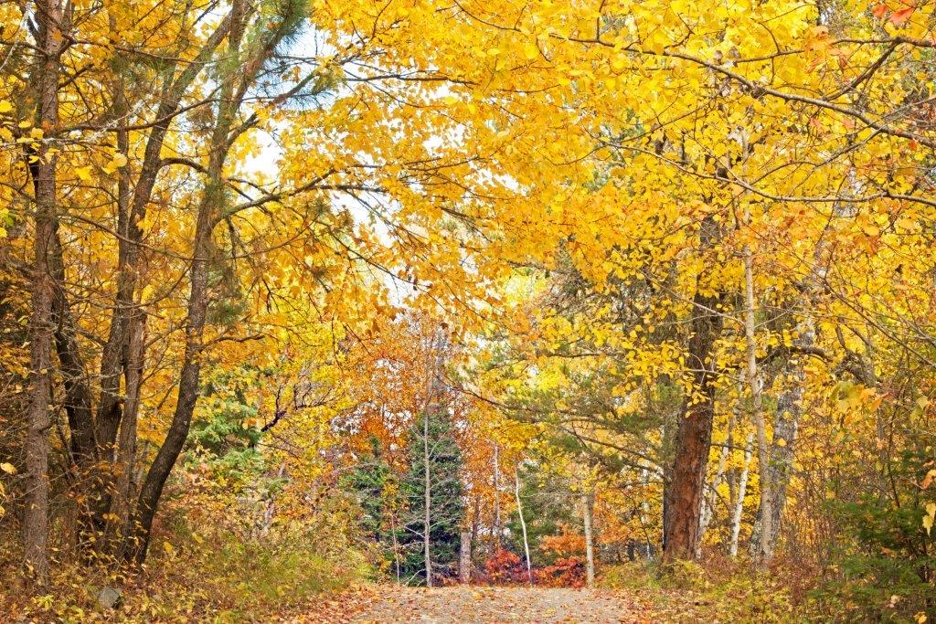 Driveway colors