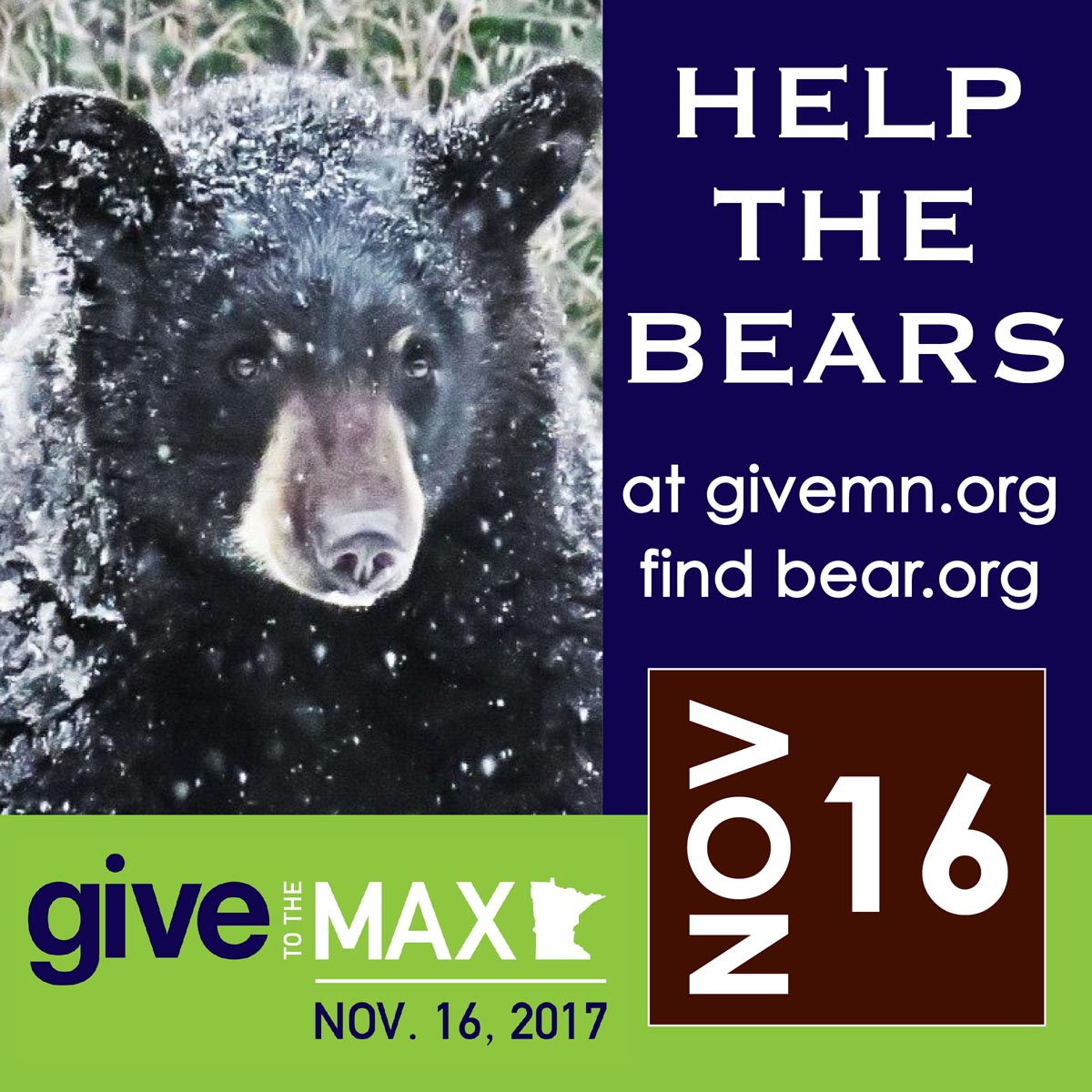 2017 GiveMN