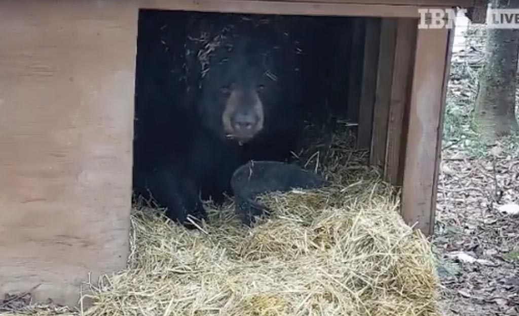 Ted and his straw