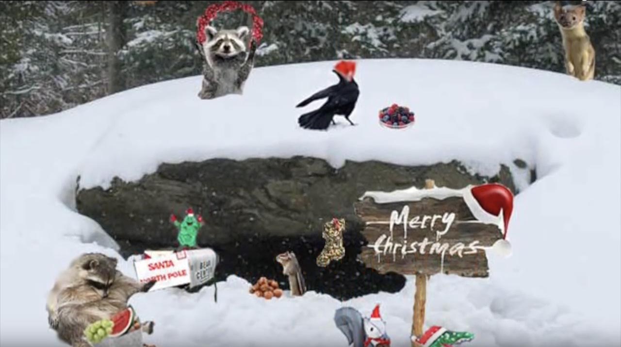 Santa Ducky video