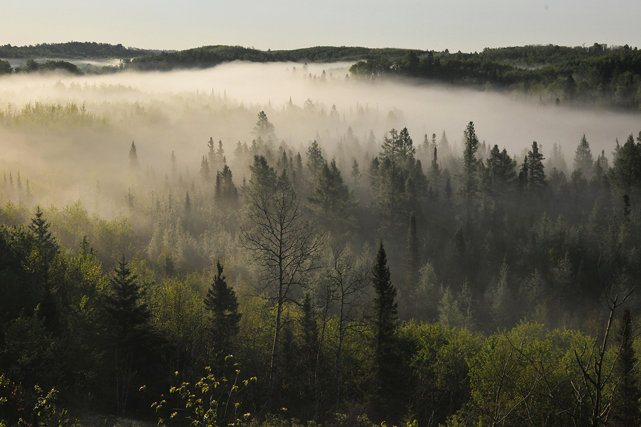 Armstrong Valley in May 2012