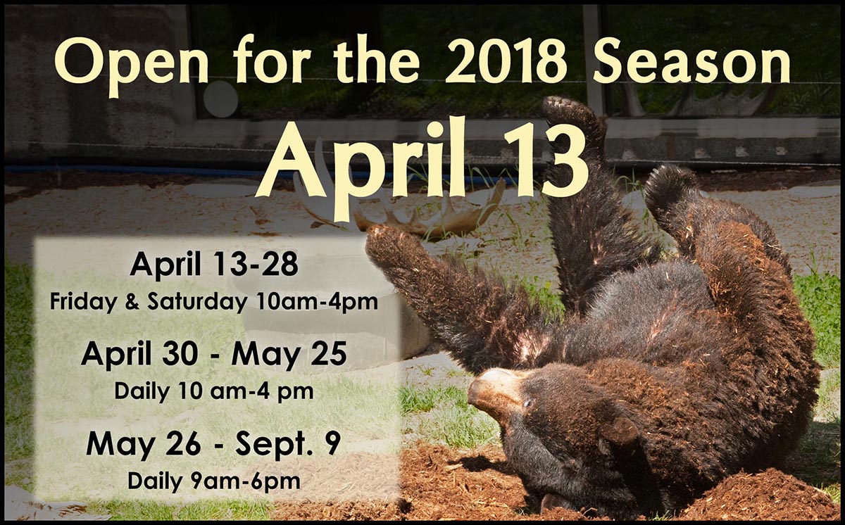 Season Opening