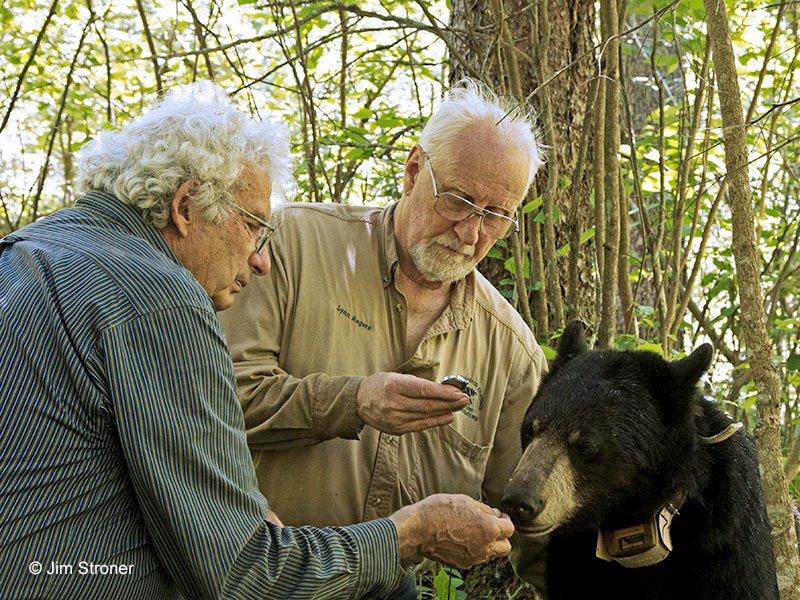 Charlie Russell, Lynn Rogers & Lily 6-27-13