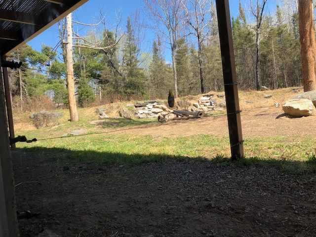 Electric fence removed