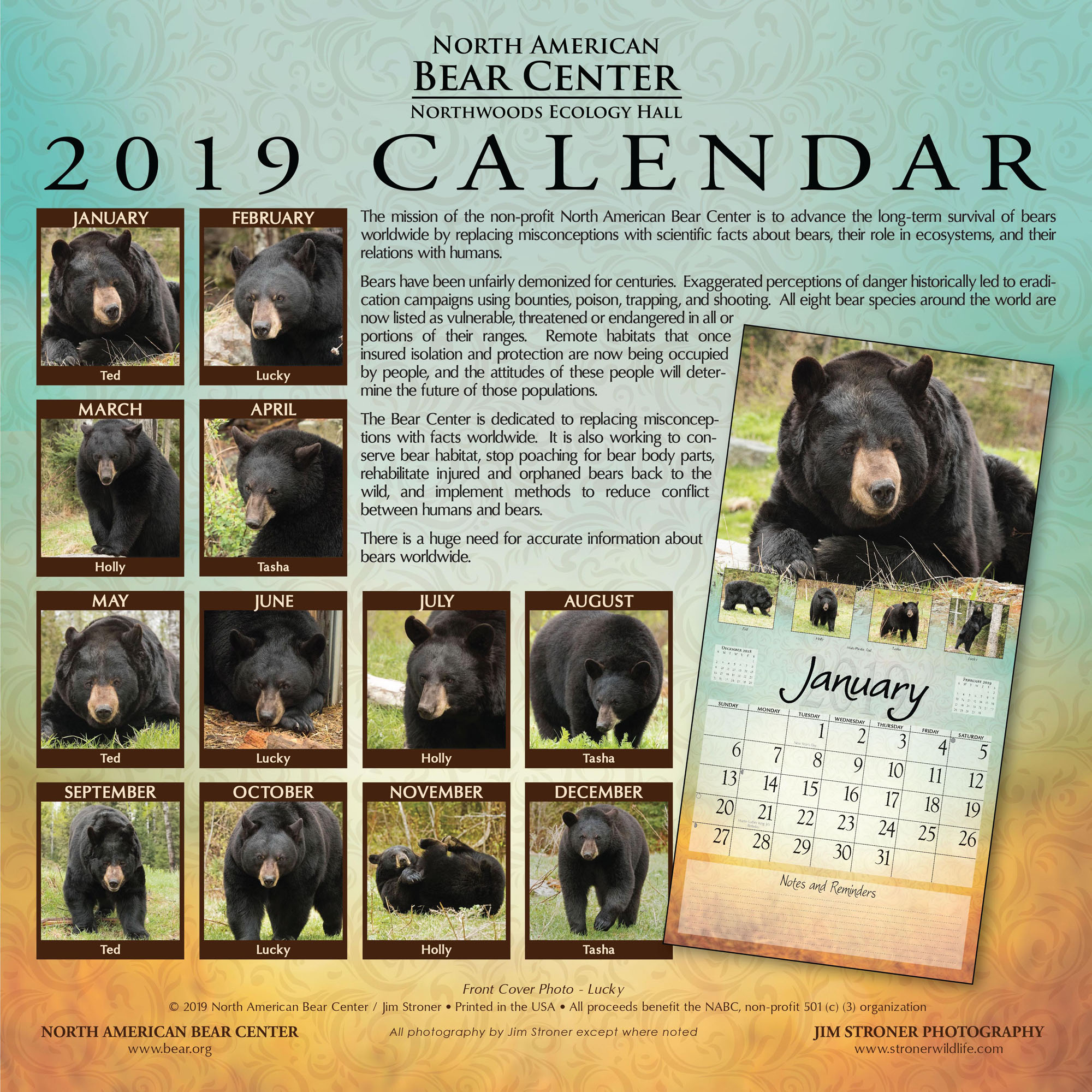 Calendar Back