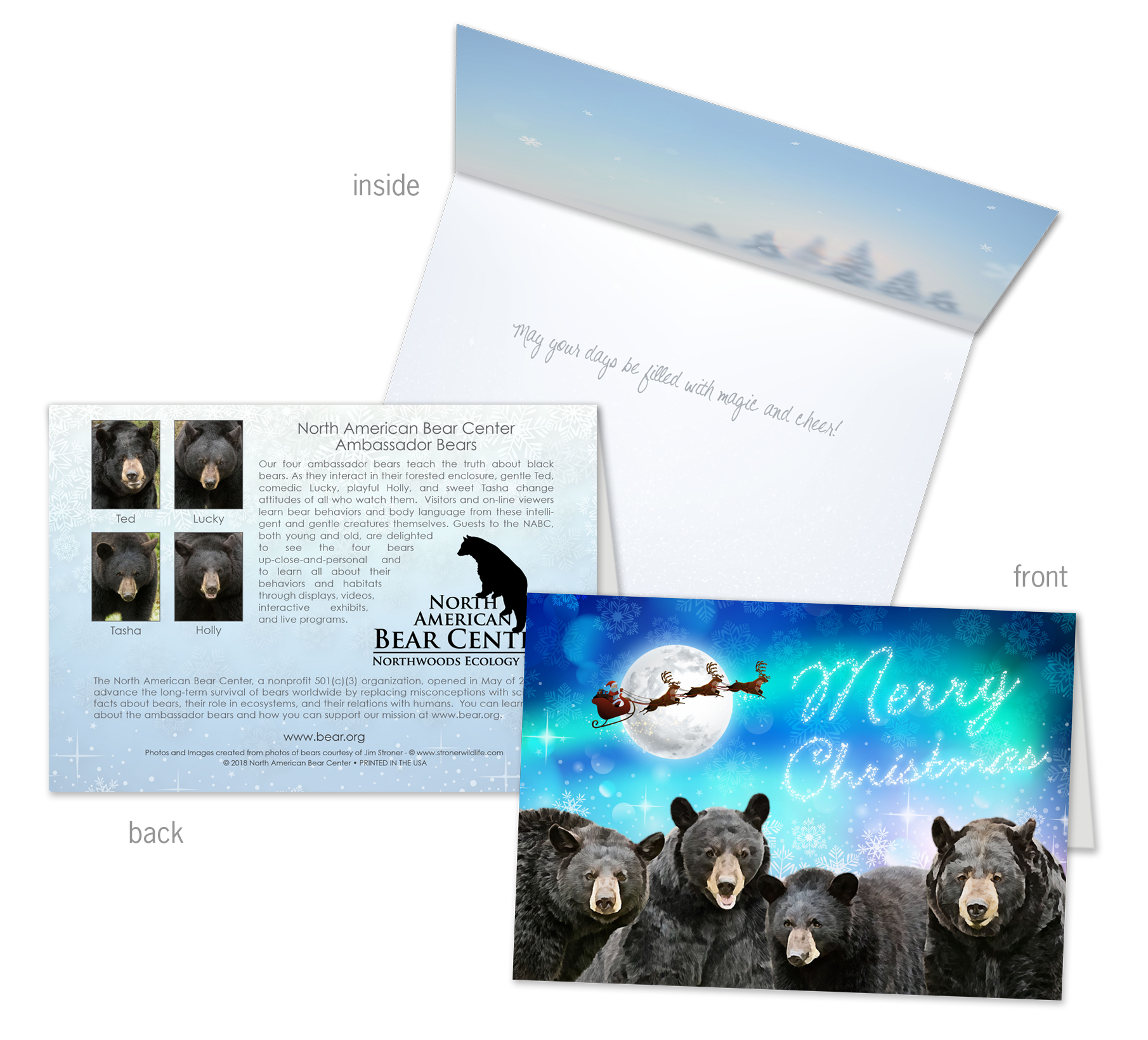 Four bears holiday card