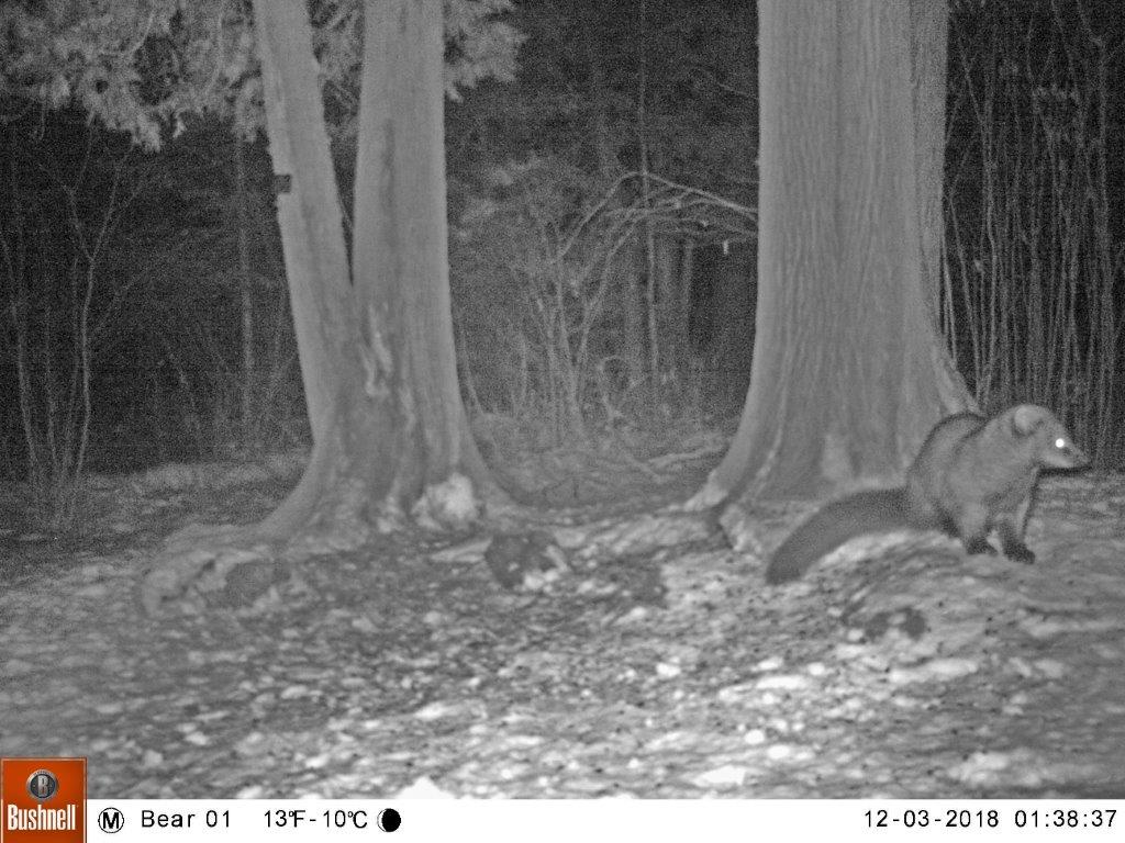 Fisher at the NABC 12-3-18