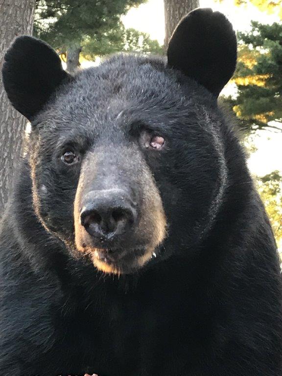 One eyed Jack 8-20-17 M.Fitzpatrick