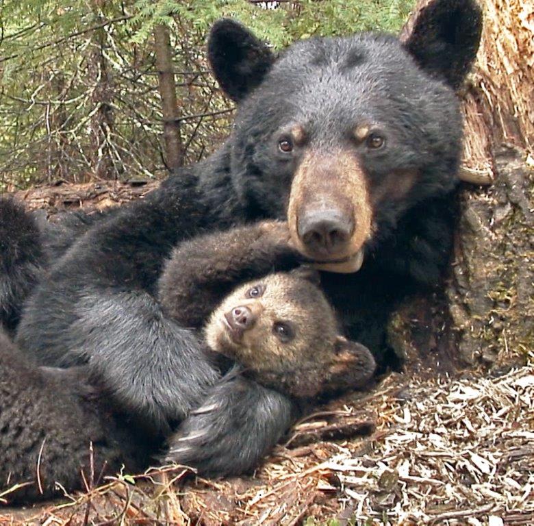 June and Lily 4/22/07