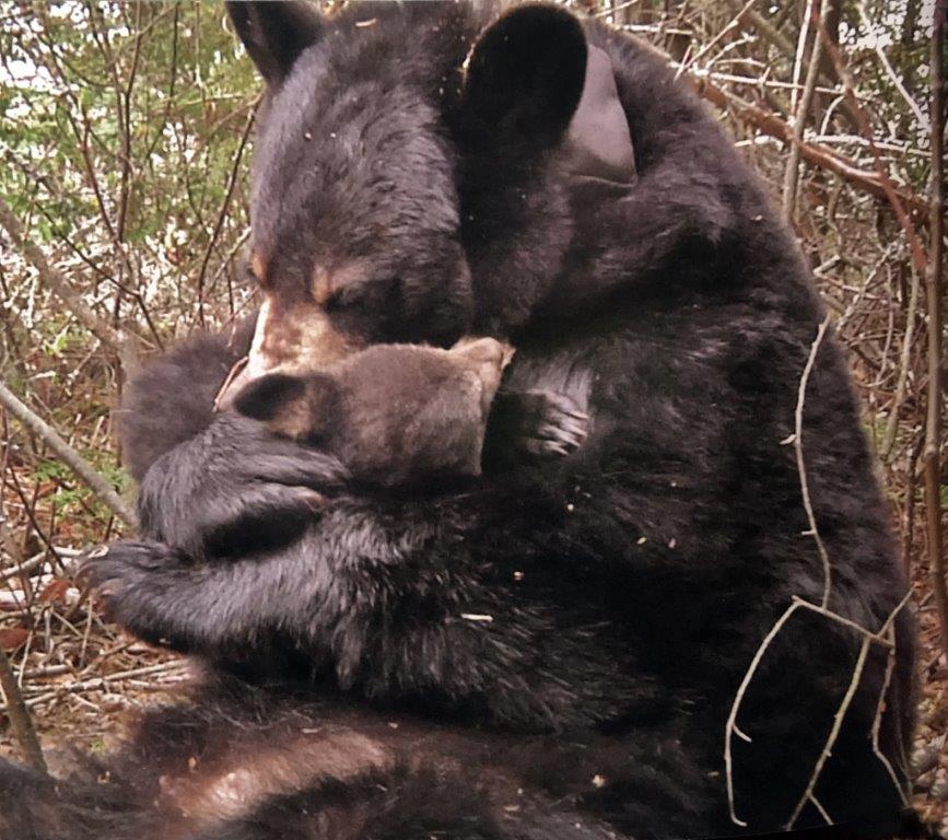 Lily and Hope 4-24-10