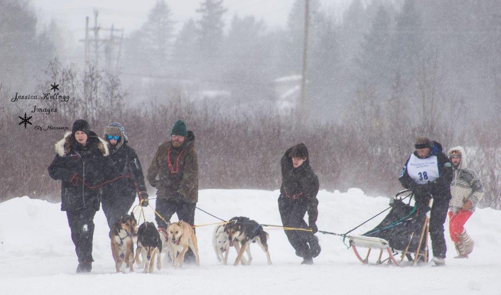 Scott, family and dogs