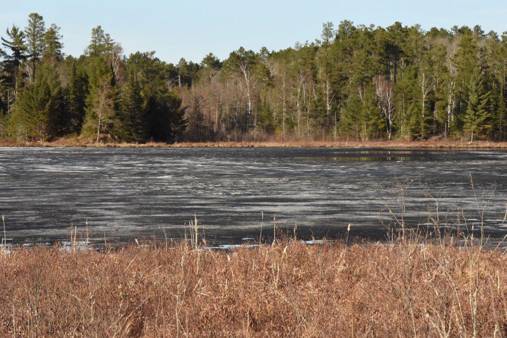 Black ice on woods lake