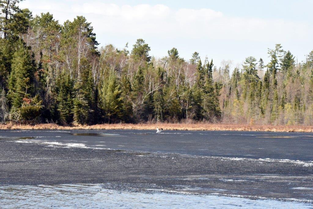 Black ice sheets colliding