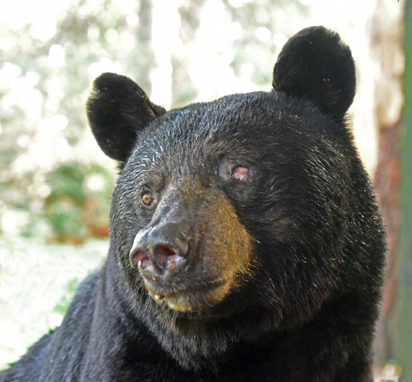 One-eyed Jack 7-10-19