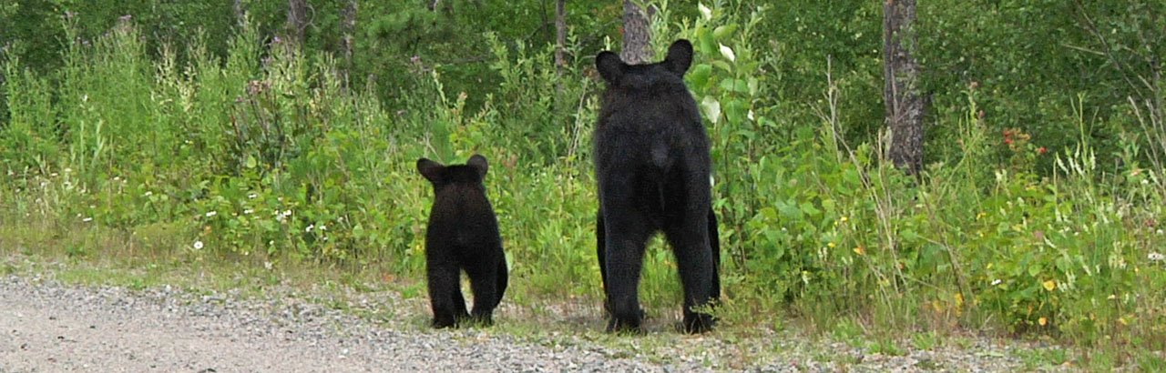 Lily & Hope - 7-13-2010